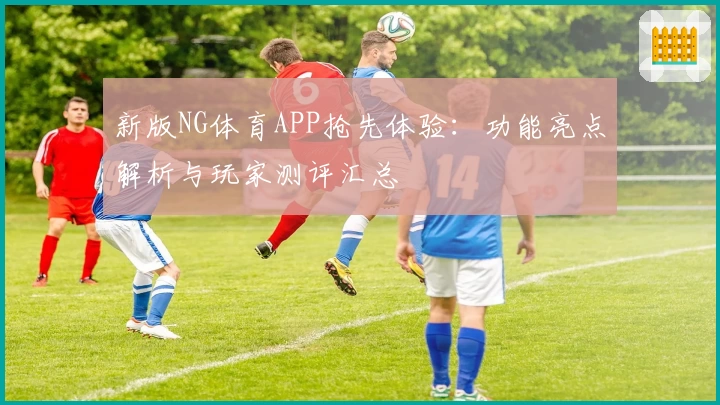 新版NG体育APP抢先体验：功能亮点解析与玩家测评汇总