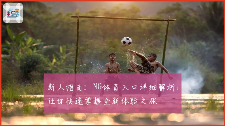 新人指南：NG体育入口详细解析，让你快速掌握全新体验之旅