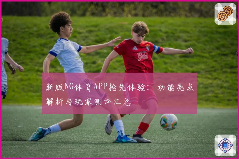 新版NG体育APP抢先体验：功能亮点解析与玩家测评汇总