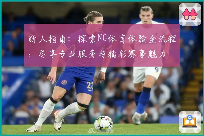 新人指南:探索NG体育体验全流程,尽享专业服务与精彩赛事魅力
