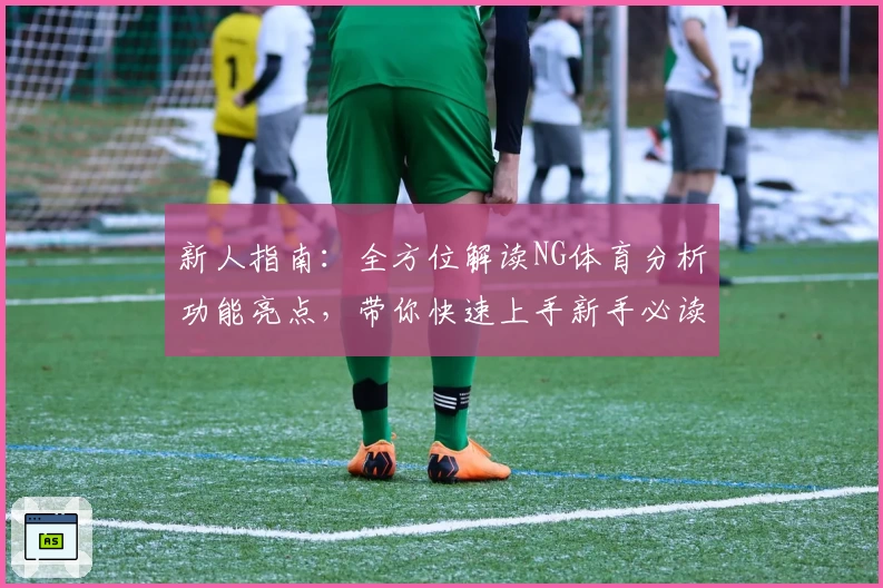 新人指南：全方位解读NG体育分析功能亮点，带你快速上手新手必读教程