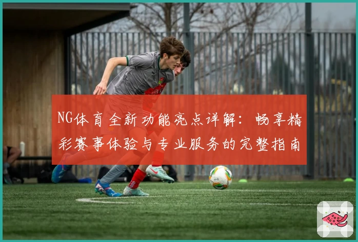 NG体育全新功能亮点详解:畅享精彩赛事体验与专业服务的完整指南