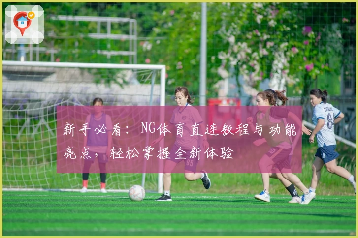 新手必看：NG体育直连教程与功能亮点，轻松掌握全新体验
