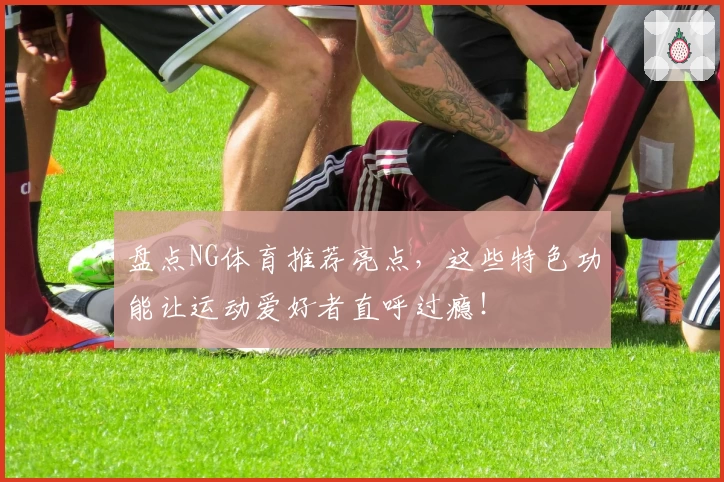 盘点NG体育推荐亮点,这些特色功能让运动爱好者直呼过瘾!