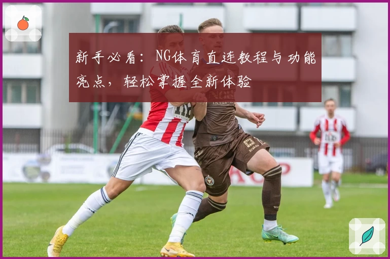 新手必看：NG体育直连教程与功能亮点，轻松掌握全新体验