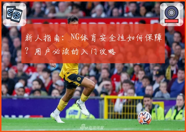 新人指南：NG体育安全性如何保障？用户必读的入门攻略