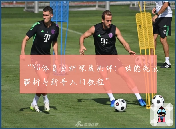 “NG体育分析深度测评：功能亮点解析与新手入门教程”