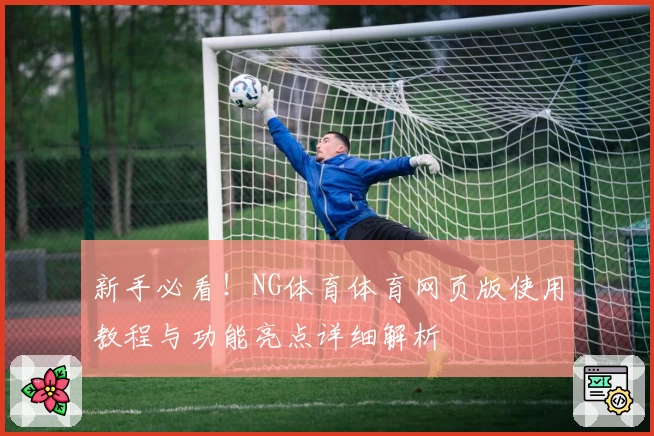新手必看！NG体育体育网页版使用教程与功能亮点详细解析